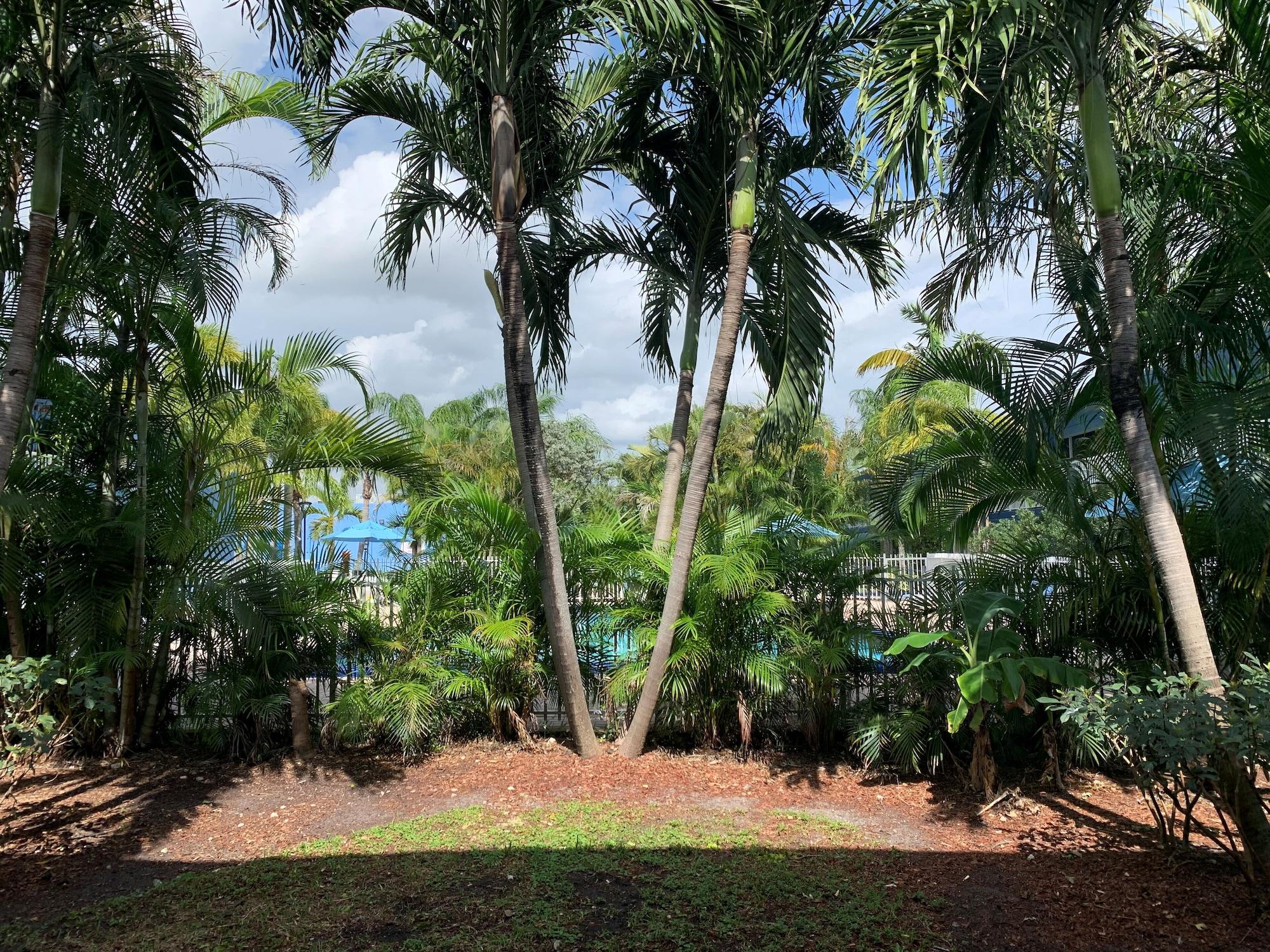 Rodeway Inn & Suites Fort Lauderdale Airport & Cruise Port Дания-Бич Экстерьер фото